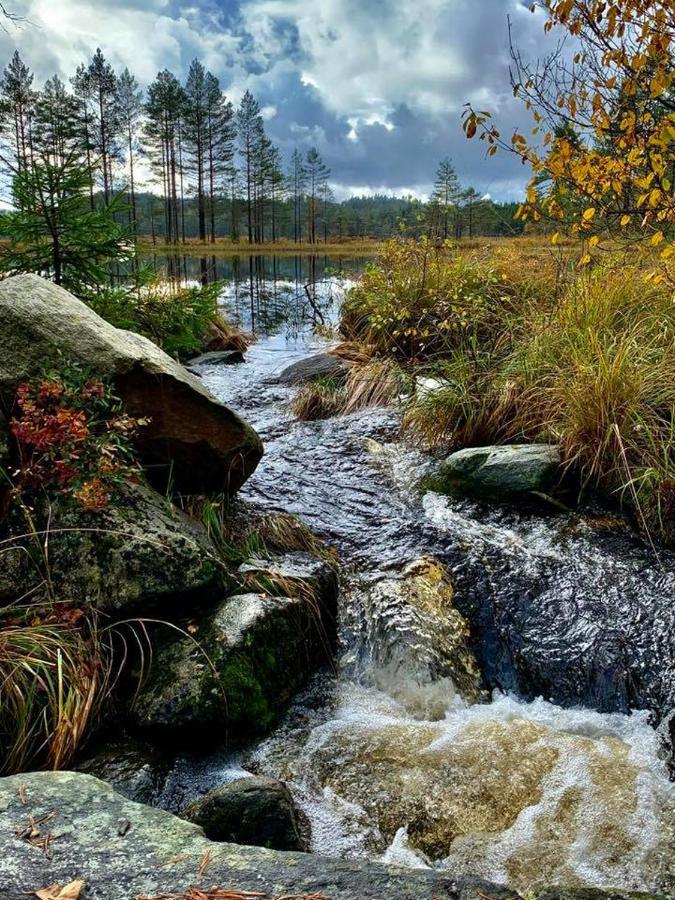 Cabin In The Woods, Lolandsvannet Near Kristiansand Vennesla Екстер'єр фото