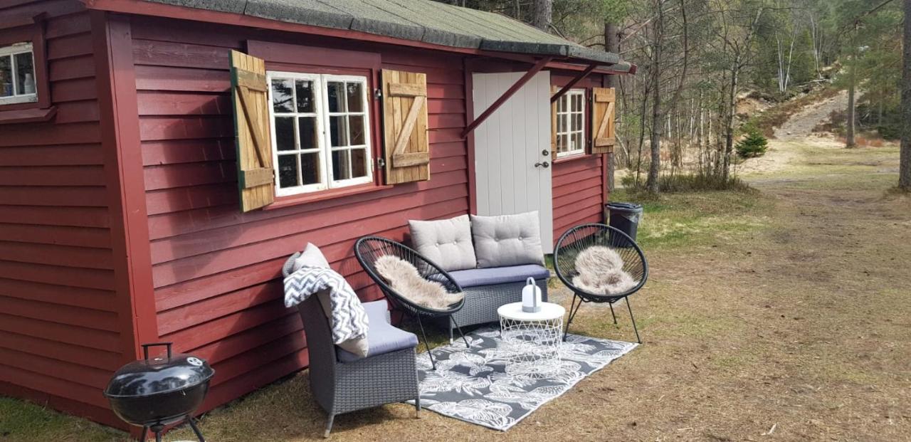 Cabin In The Woods, Lolandsvannet Near Kristiansand Vennesla Екстер'єр фото