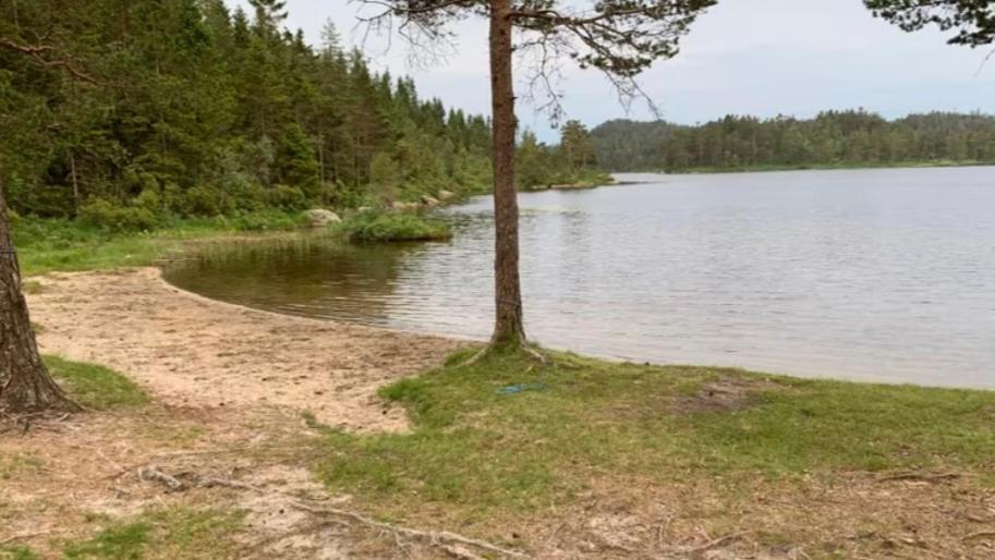 Cabin In The Woods, Lolandsvannet Near Kristiansand Vennesla Екстер'єр фото